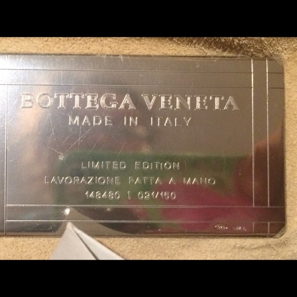 Bottega Veneta Limited Edition Velvet Leather Bag - Picture 15 of 17